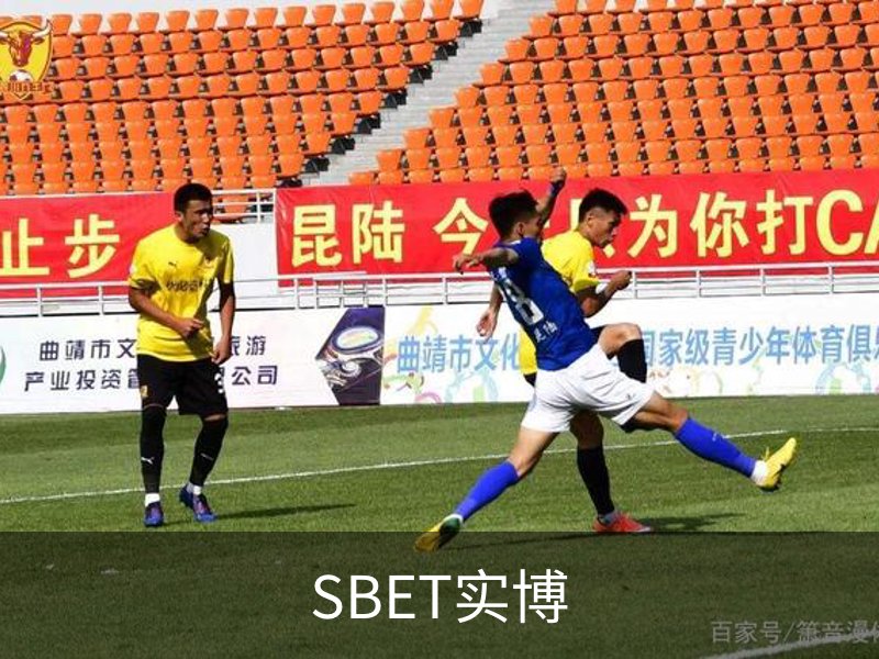 SBET实博简介